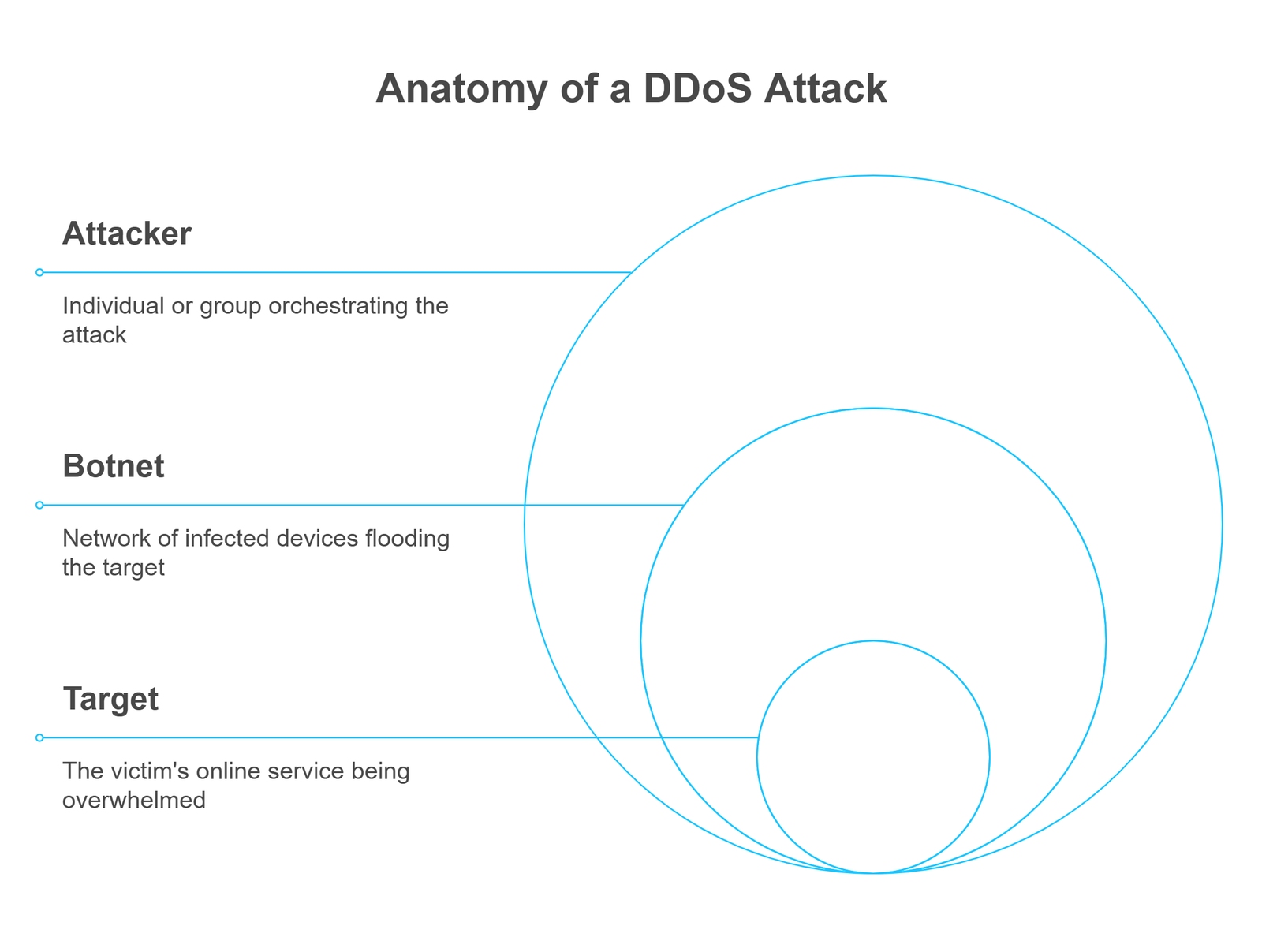 Anatomy of a DDoS Attack