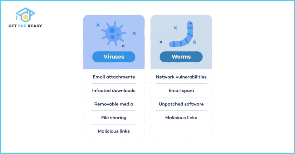 What is the difference between a virus and a worm